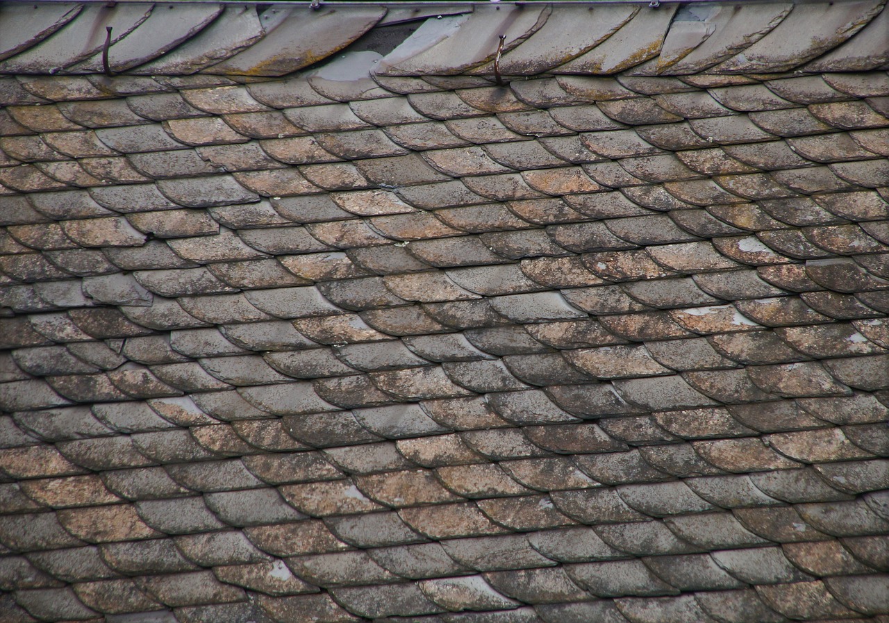 Common Roofing Problems: How To Spot Them And Repair The Damage - James ...